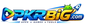 pkrbig.com